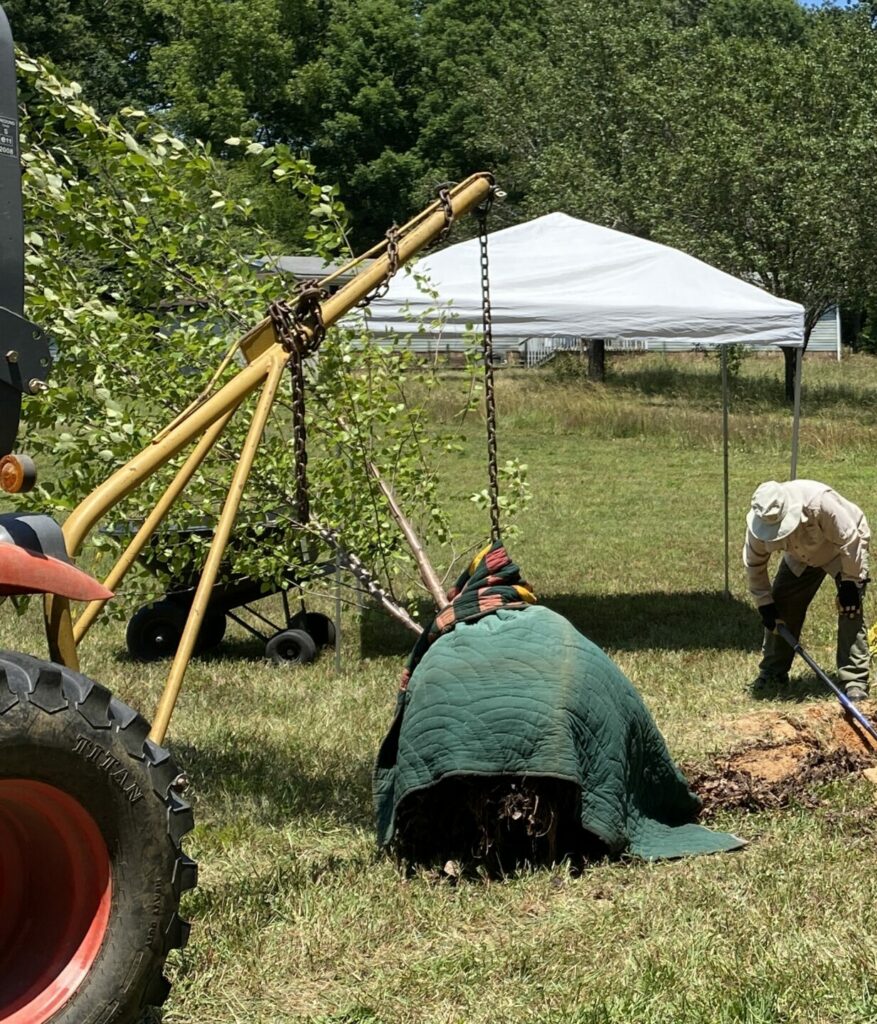 tractor with boom pole
